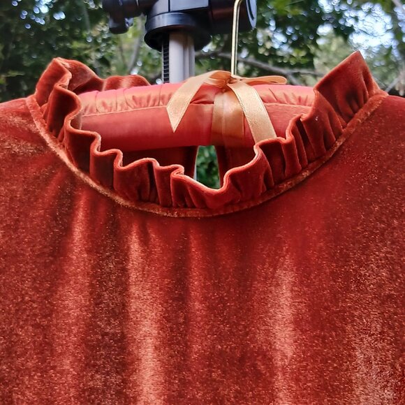 Romantic Rust Velvet Long Sleeved Shirred Wrists & Ruffled Cuss & Neck Top Sz M - Picture 3 of 9